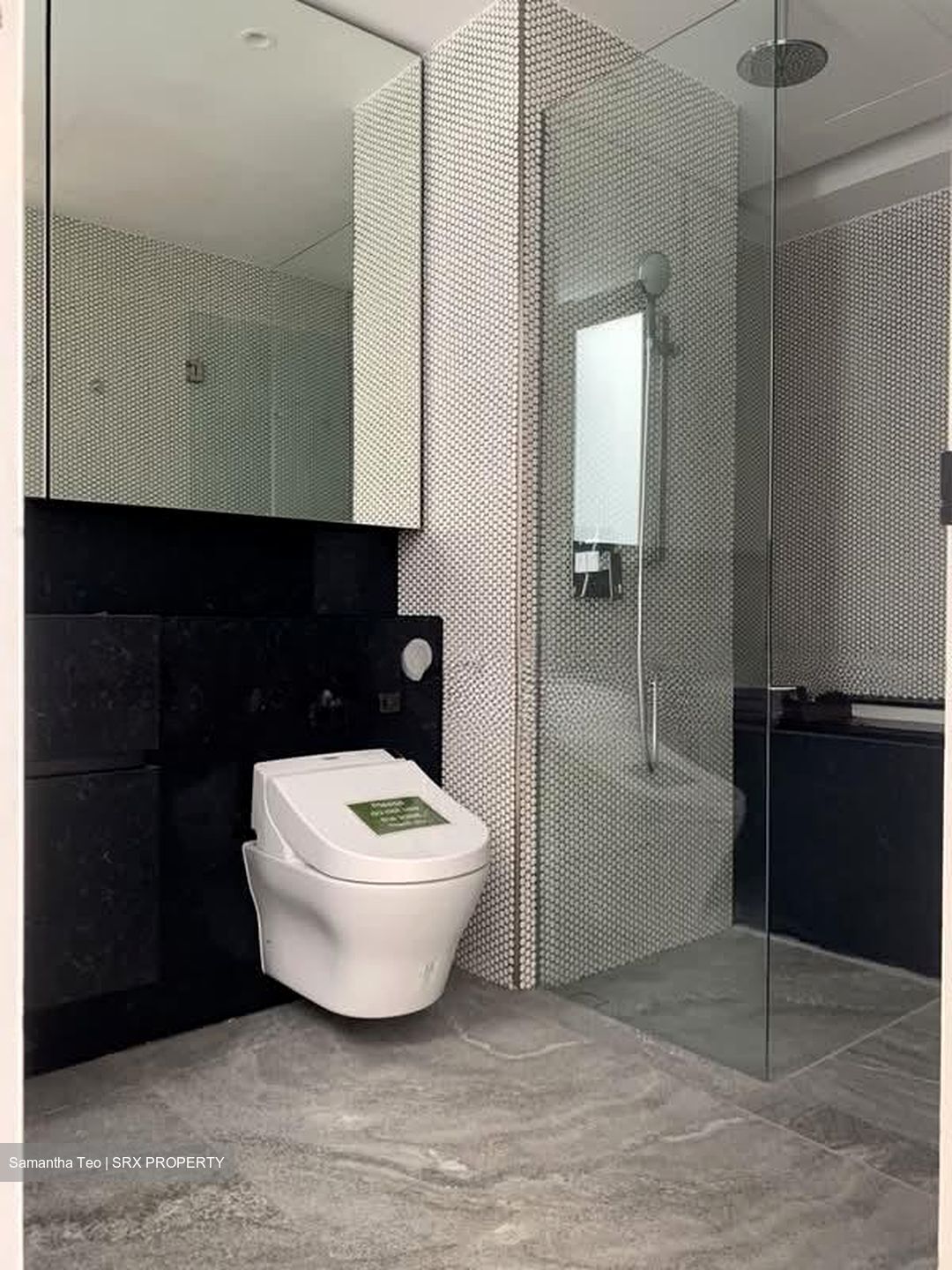 10 Evelyn (D11), Apartment #610707201